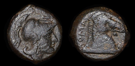 Cr. 17/1d Minerva/Horse's head Æ litra, Cosa mint, after 264 B.C.